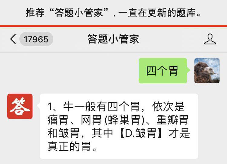 牛一般有四个胃,其中皱胃才是真正的胃,依次是瘤胃,网