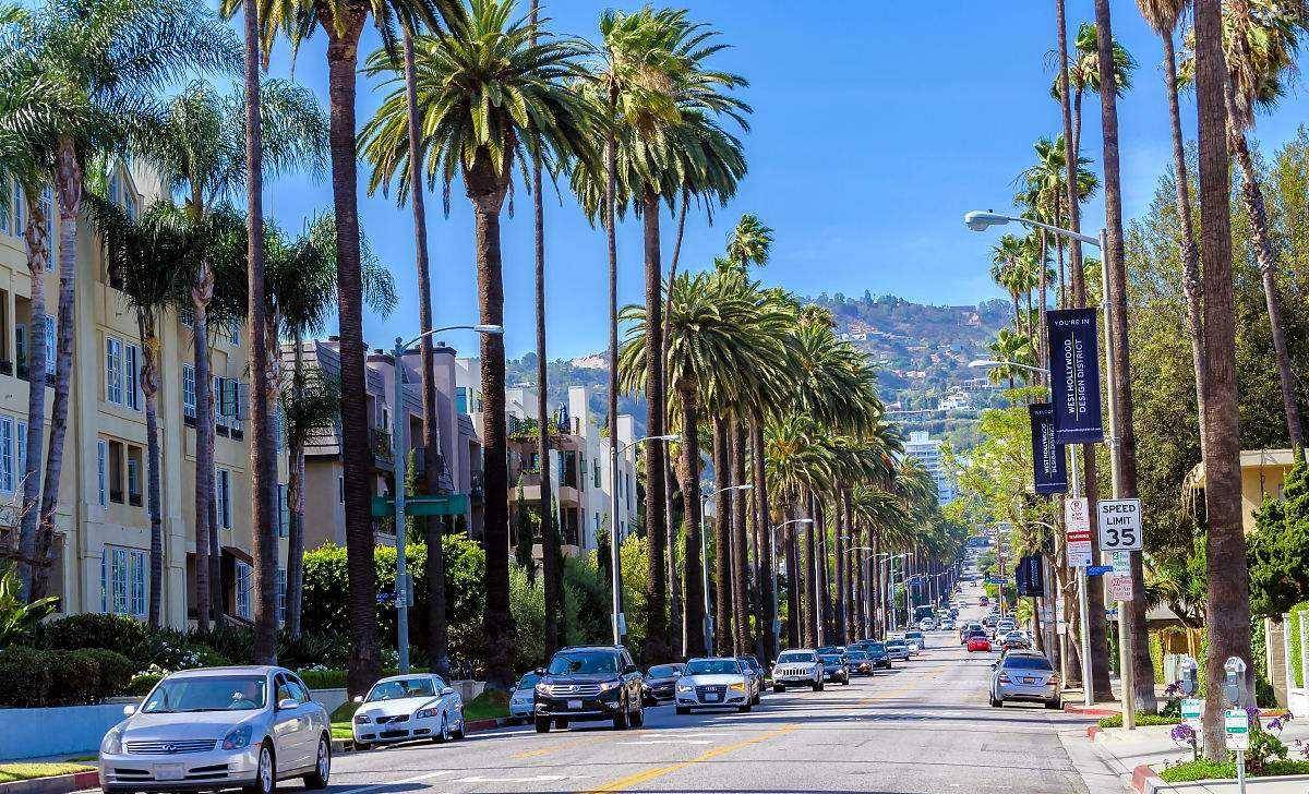 厦门GDP2100_厦门大学(2)