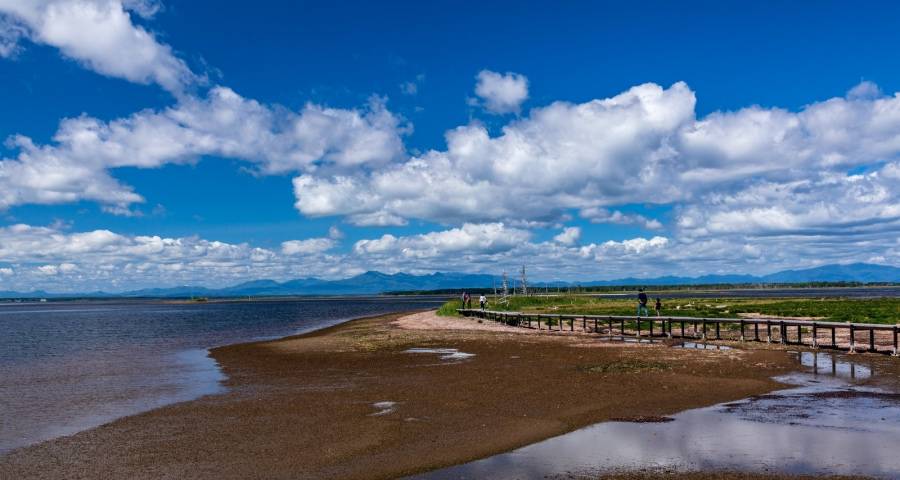 家电零售渠道变革不能蒙眼狂奔:新一轮洗牌主打产品和用户-家电圈官网