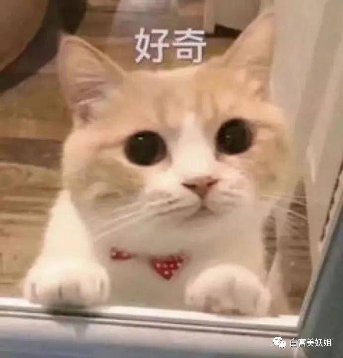 网暴|因一张图被说照骗带80w粉网暴路人，快手神颜真社会…