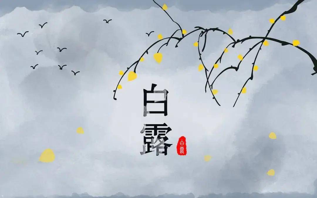 「二十四节气」白露|秋风至,白露生