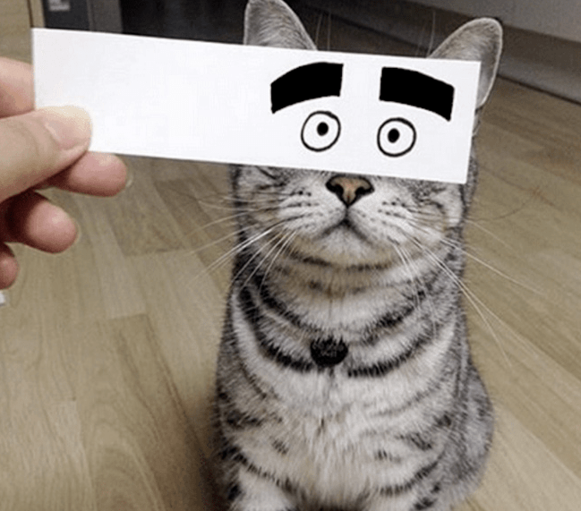 0a30a44a936342e9b08393c13068ca33.png