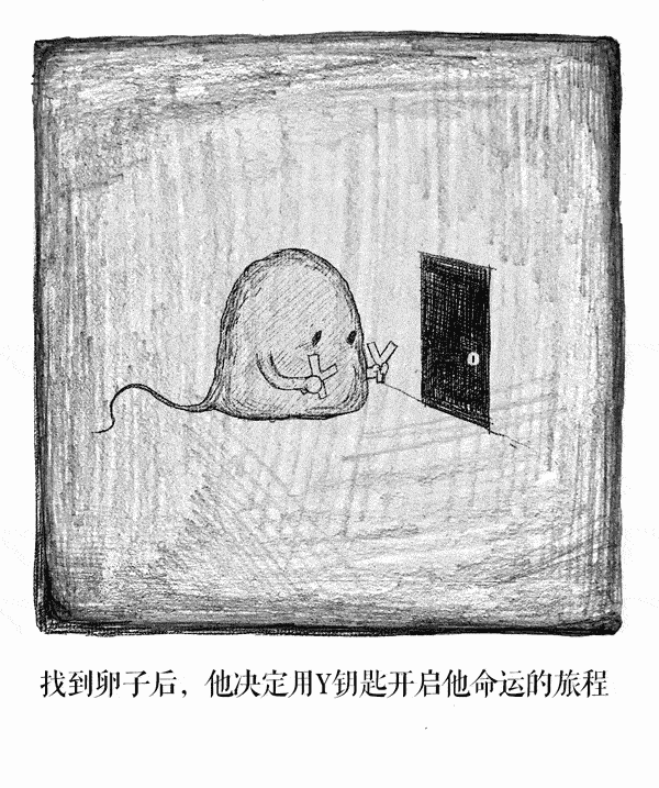 精子怎么知道卵子在哪?