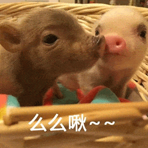 这么多年咱都误会二师兄了