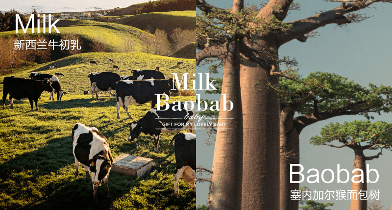 品牌|韩国专业护理品牌MilkBaobab迷珂宝进驻天猫国际