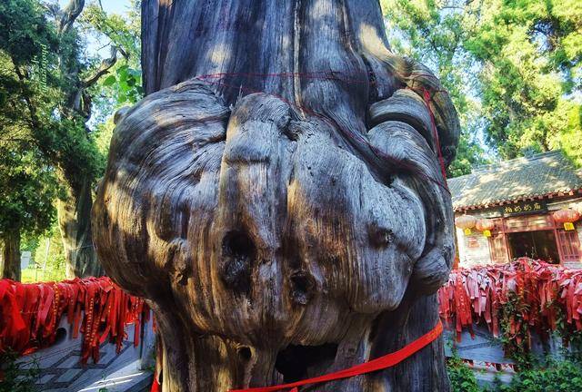 喝汤|洛阳人爱喝汤 千古传颂的爱情故事也难抵过一碗羊肉汤