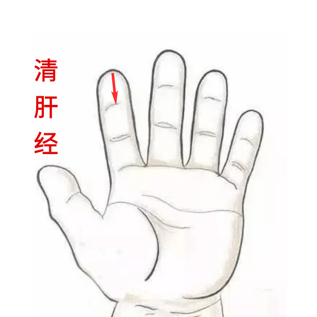 曦源|不精神，还不爱吃饭？学会这几招，让孩子胃口好起来！—湘曦源孩子脸色枯黄