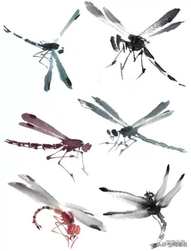 「国画教程」蜻蜓画法