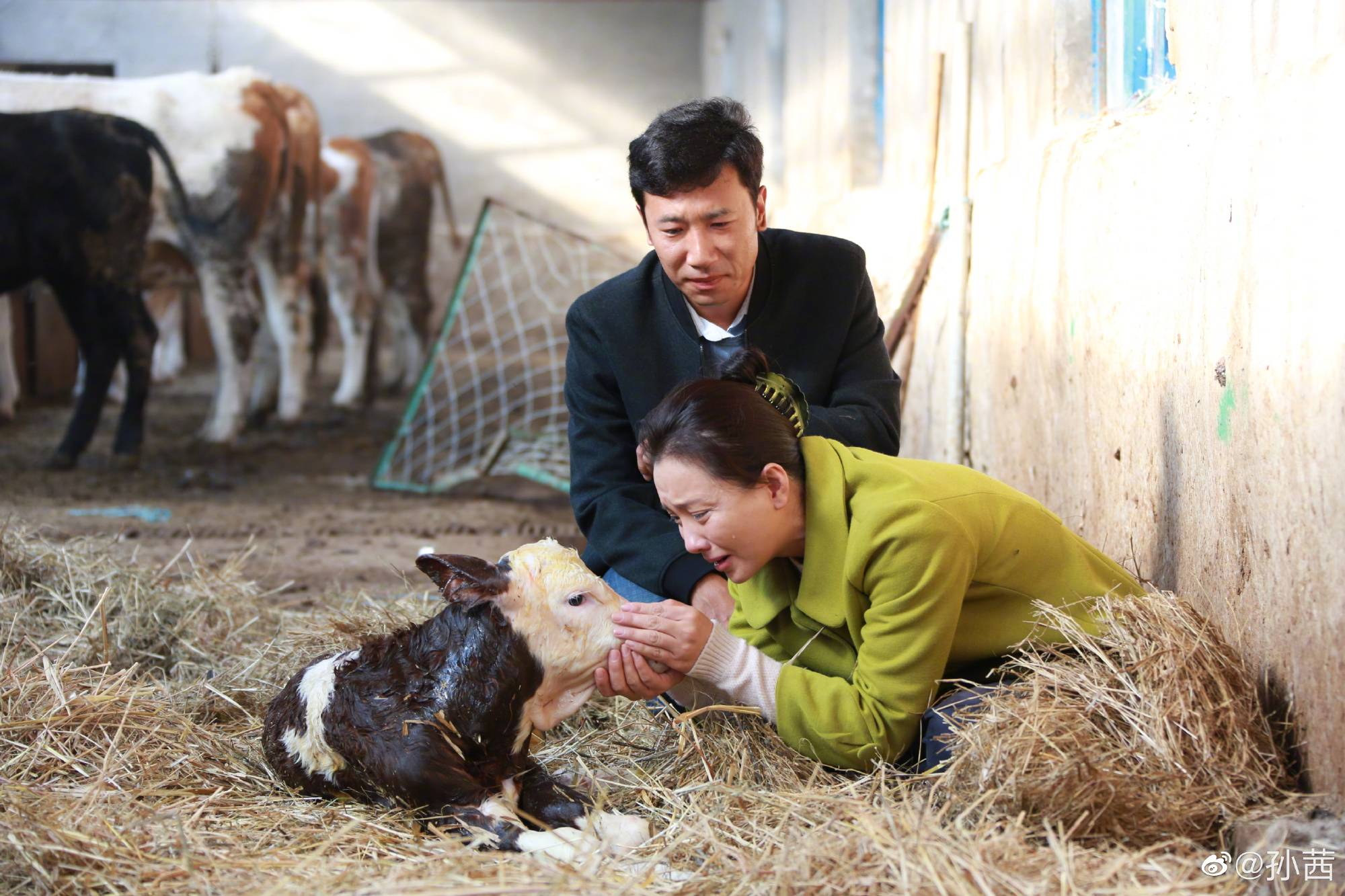 蒙古族|军人出身长相洋气的孙茜,演蒙古族农村妇女怎么看还是缺少精气神