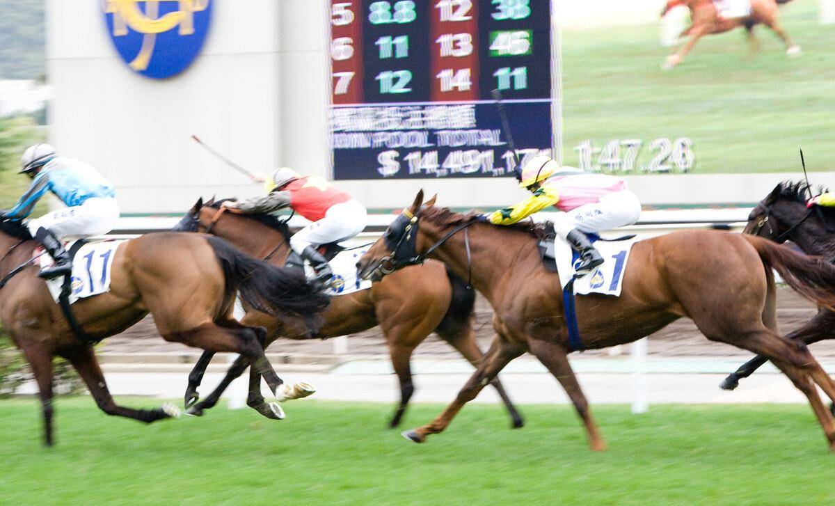 2020/2021年度马季首次跑马地赛事将于周三(9月9日)举行,当晚共编排