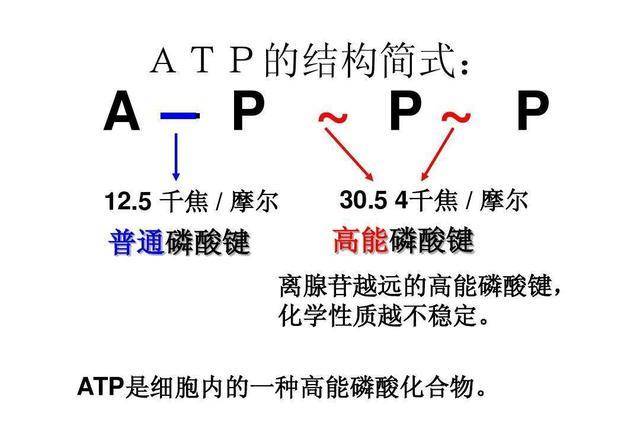 健身的顺序教程 efc875895ccc49a1bbd831bd123aebf0.jpeg