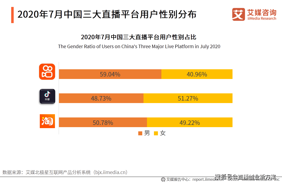 全国2020年上半年度g_半年度审计报告模板