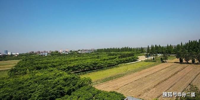 不分配人口田_人口普查(2)