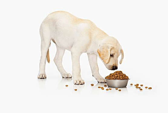 dad4492e1ae546a1903add4ecc8b119c.png