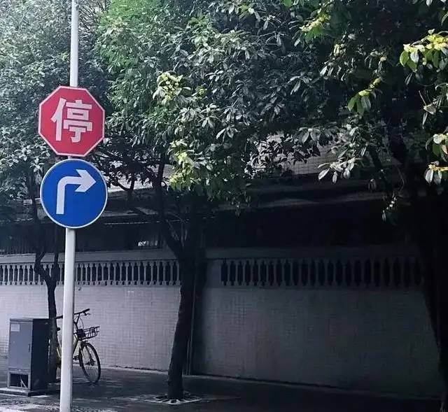 牡丹|熊孩子玩火烧坏，只剩树皮还能活？407岁古树