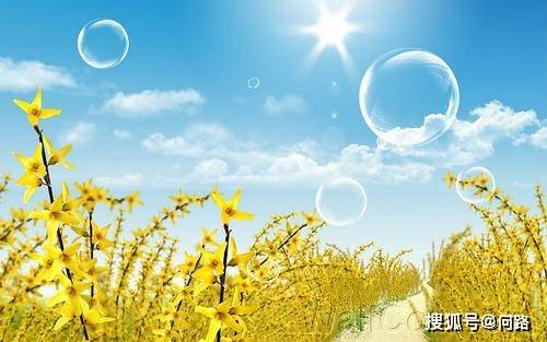 如何让自己快乐阳光起来 acbb20f0f21c4bf29cc7828bca94c9f5.jpeg