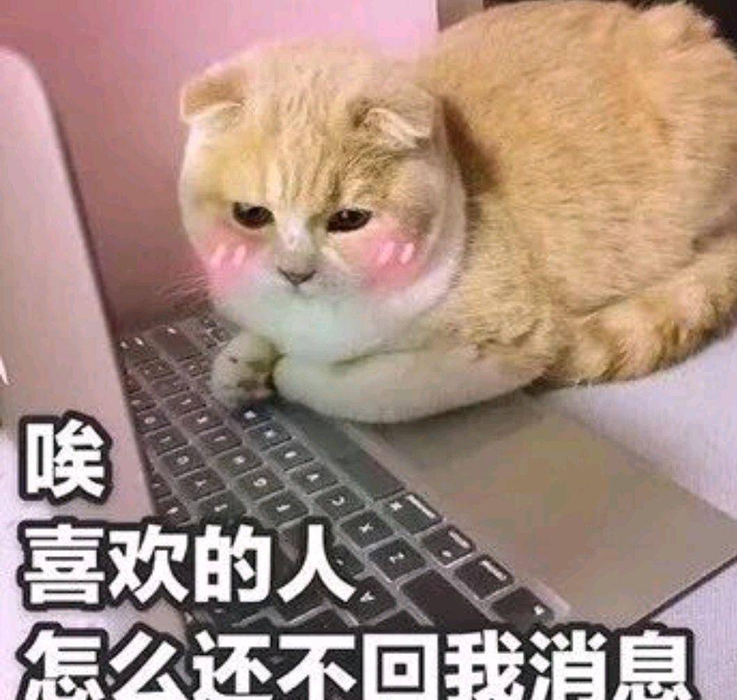 b0f142702501495bbc679f5f86b40c2e.jpeg