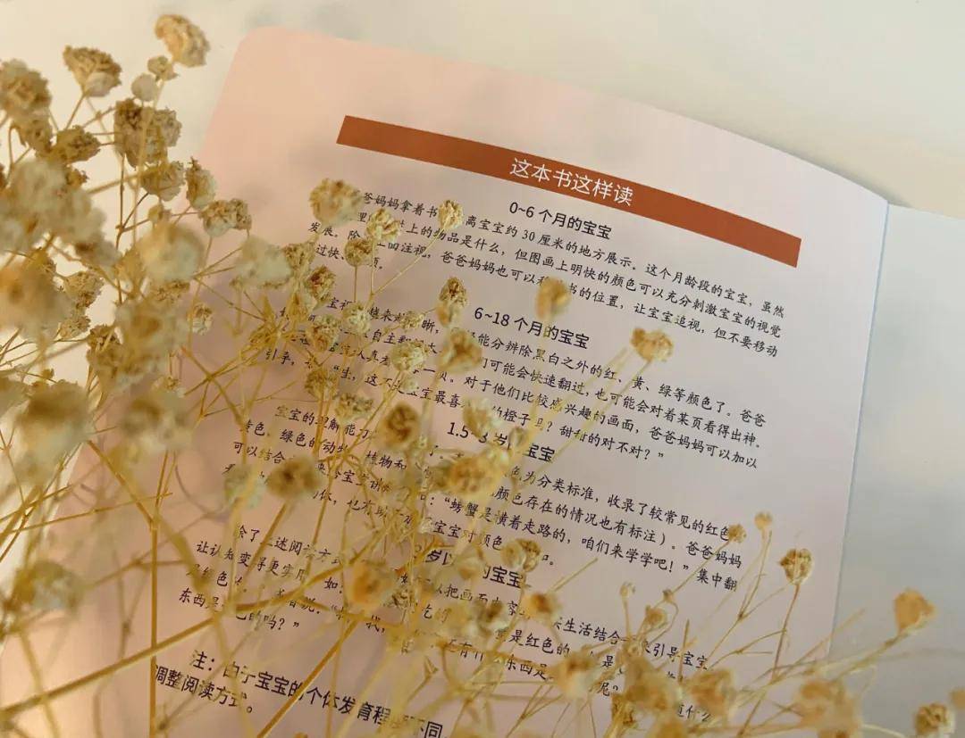 绘本|0~4岁绘本怎么挑？这套书给满分