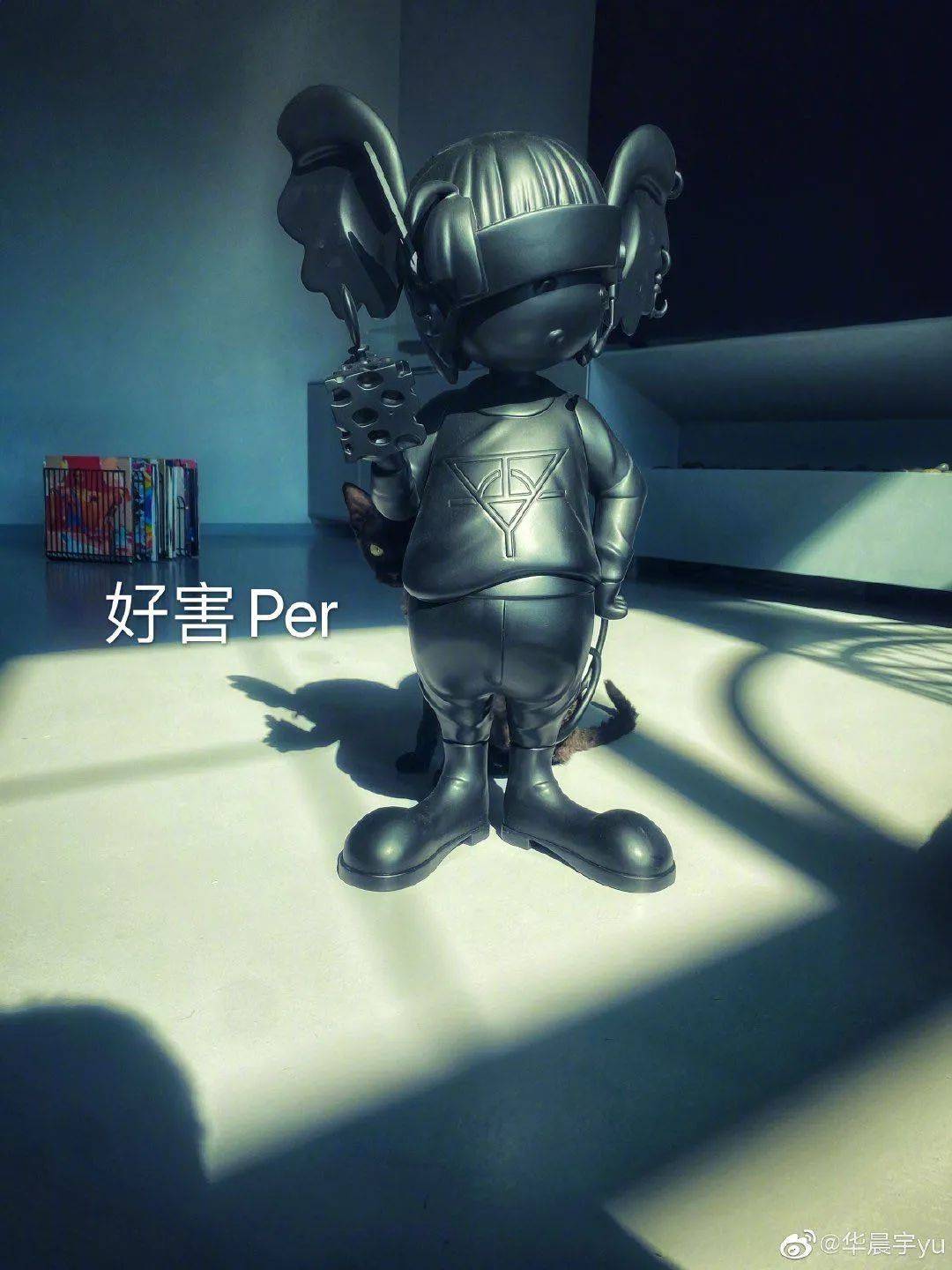 原创华晨宇微博更新,晒猫狂魔又双叒上线!网友:看per不说per