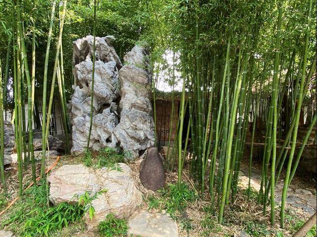 召公|“大象无形”、“甘棠遗爱”、”廉风垂范”、召公遗风 ——甘棠苑