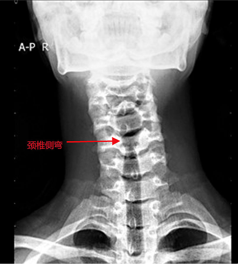 1f6c463d8c984062be5cdffecbfb7198.png