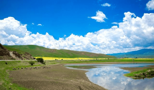 花滩老总_合川花滩规划图