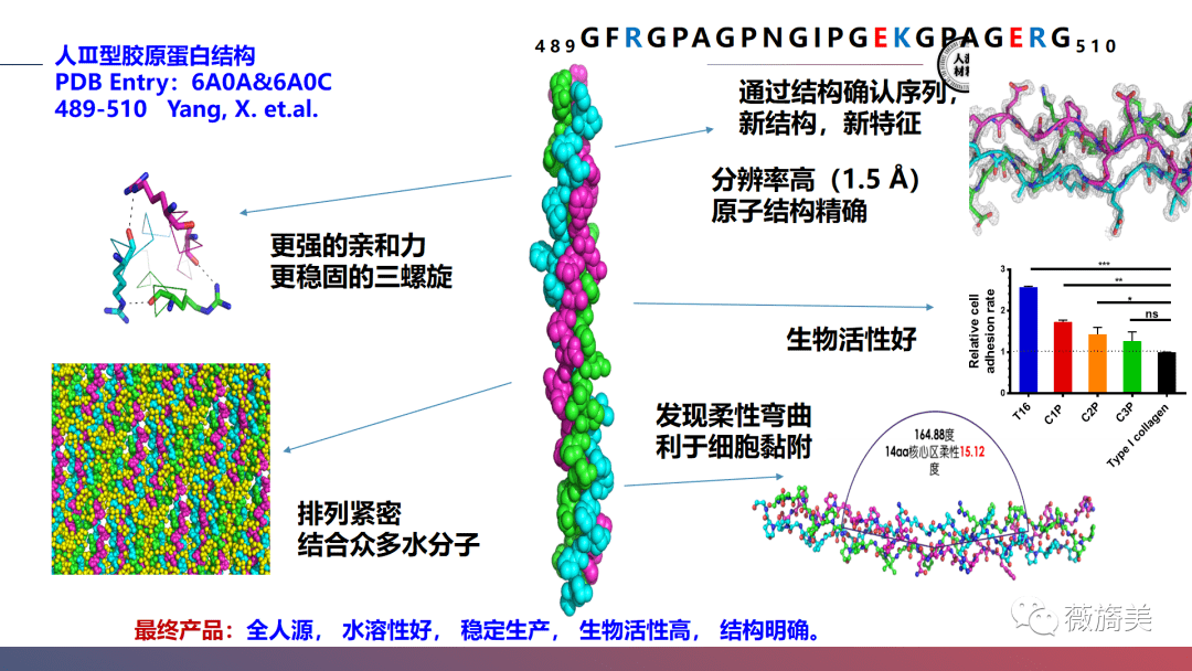 人口理想结构_中国人口结构(3)