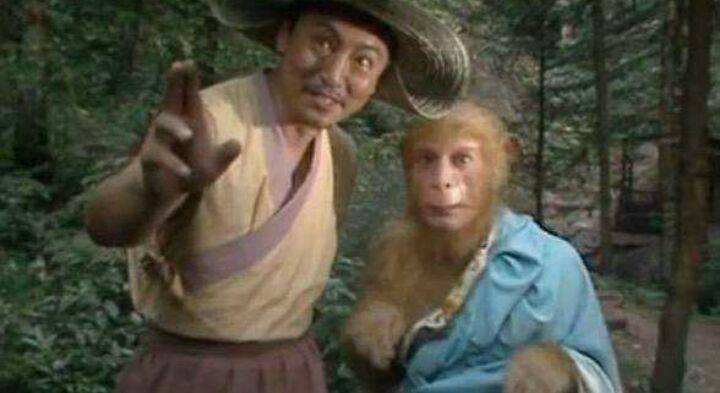 全因|菩提为啥非要让孙悟空在烂桃山吃七年桃才授艺？全因这个规矩