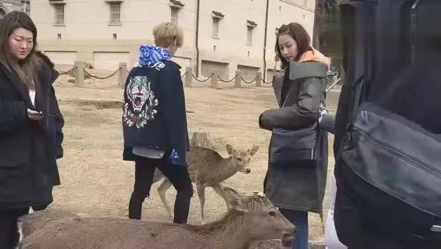 鹿晗连续三年卡点为关晓彤庆生，昵称太甜蜜，