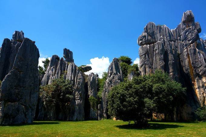 云南旅游景点必玩的地方石林 f592daee6a24454c8d1d1eb58e3c6cb3.jpeg