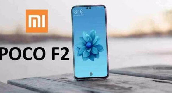 小米加什么能成黑米 c203b7c41adf43079c99990c16dd824a.jpeg