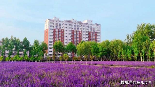 河北|让人尴尬，河北工业大学2020年本科录取分数线发布河北唯一211大学