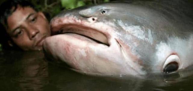 6c50803cc47c4216b0aa7f11e007a43b.jpeg