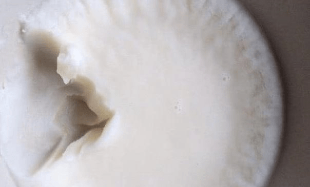 2af47fd2298546408950d6f3356f3c92.png