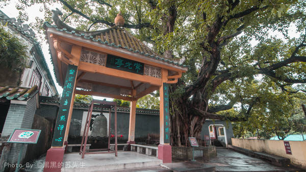 乾隆|1000多年的梅庵，因为六祖惠能而得名，更有乾隆道光年间的石碑