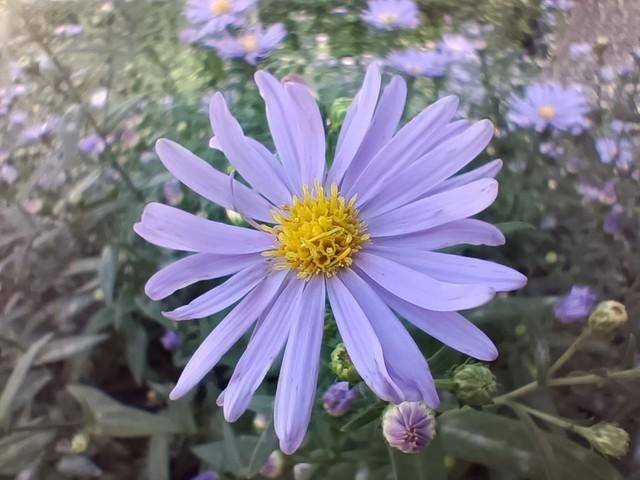 观点评论|OPPO Reno4 SE全面评测: 65w超级闪充的全民性普及