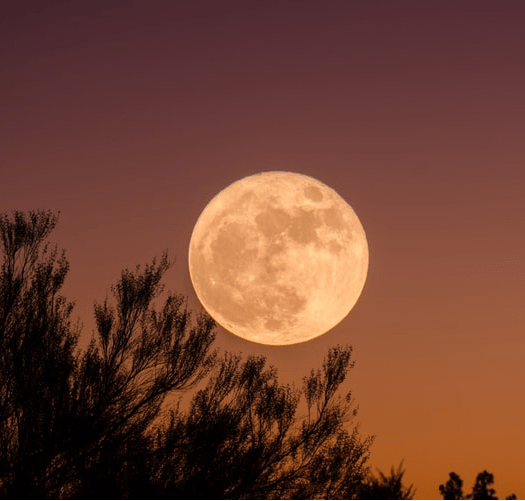 贝伦|阖家团聚，中秋好时节 瑞士美度表中秋节腕表推荐