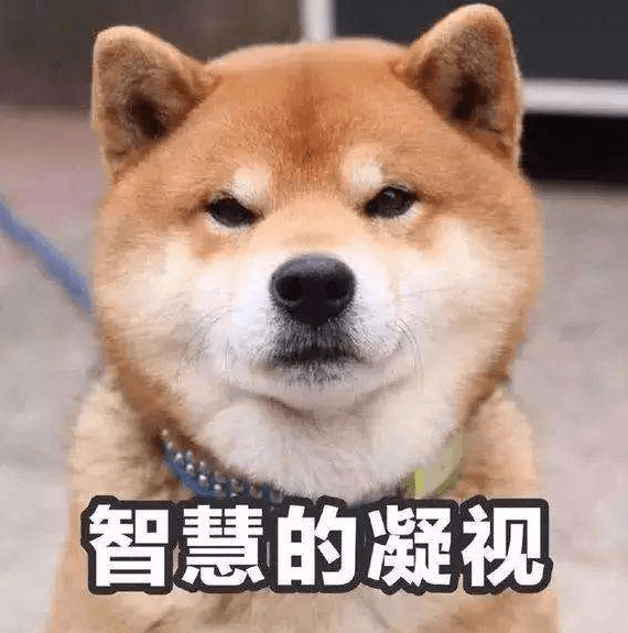02a14b41272340a89a90195ff56c47bd.png