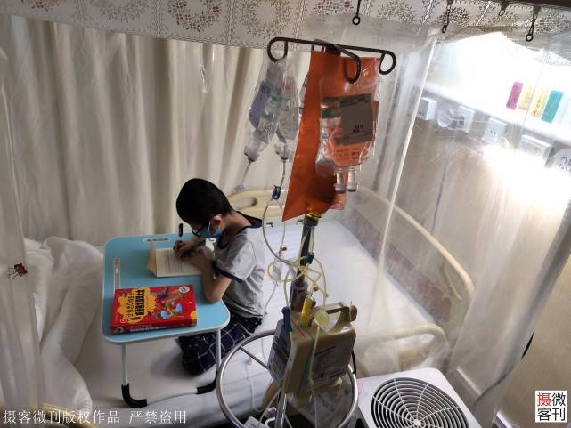 移植|母亲假装镇定不陪护，只为省下3000元10岁男童独自进仓移植