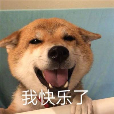 搞它一笑:笑得你前仰后合的短笑话(top3)