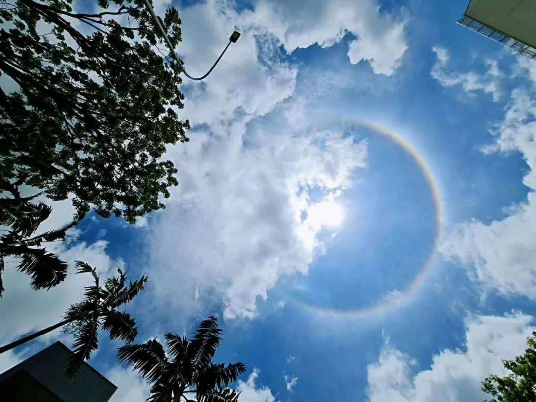 异象|突发!新加坡天降异象,绝美日晕刷屏了~(多图+视频)