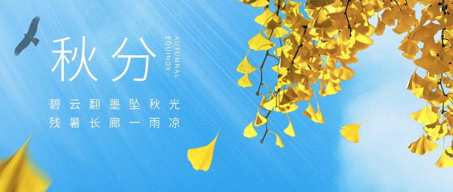9989084b6b224eb08fab4eac109958ed.png