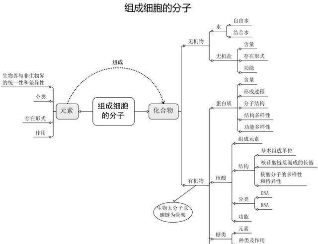 高中生物必修:细胞模块的思维导图,助你复习考试无忧