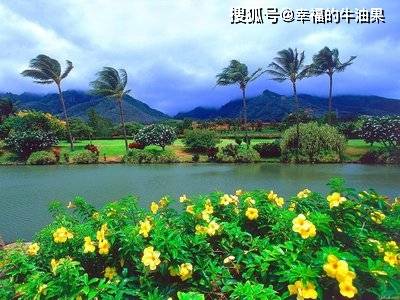 2020年十二生肖事业_2020年吸金纳银的4大生肖,上半年事业亨通,下半年财