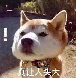 d5f89e300e4d46198d4efdba303eefba.jpeg