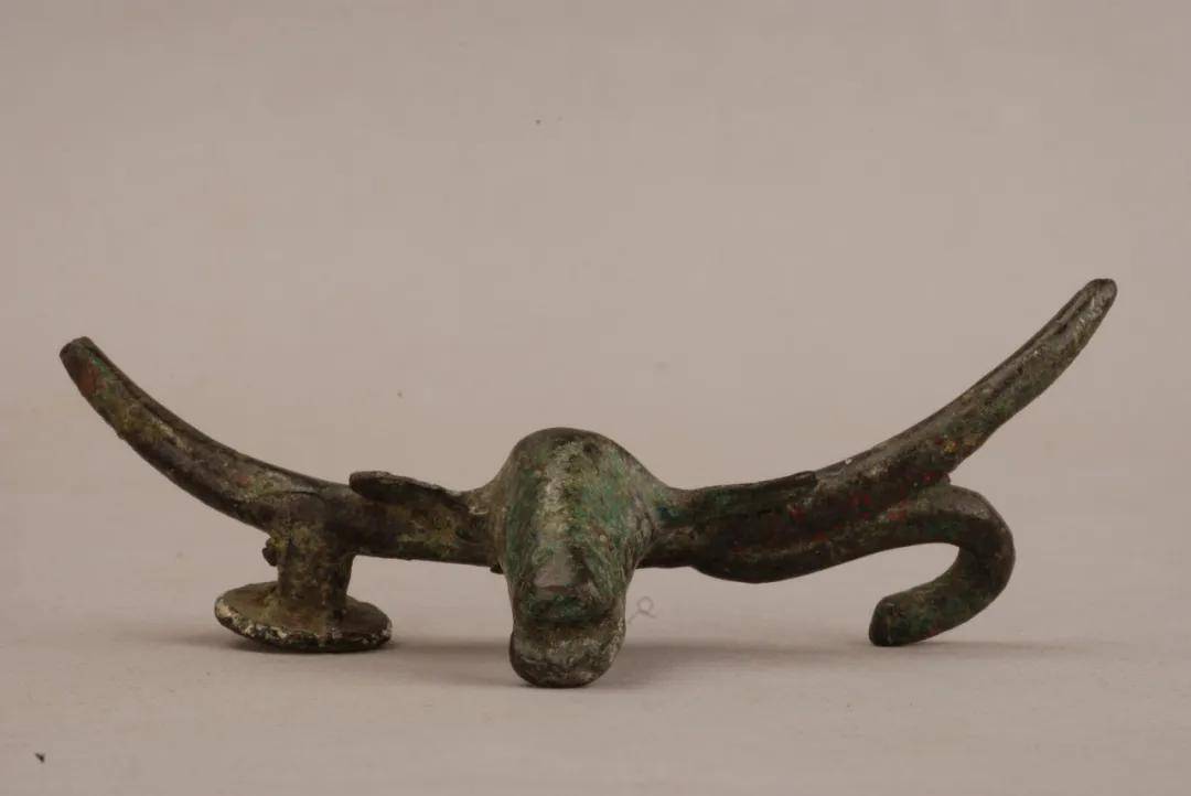 文化|探展 | 历史上的夜郎古国有着怎样的故事？这个展览带你揭开它的神秘面纱