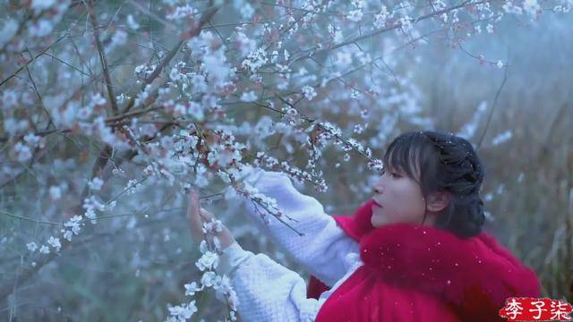 田园|李子柒演绎的田园生活，被如此糟蹋，真的就不戳心么？