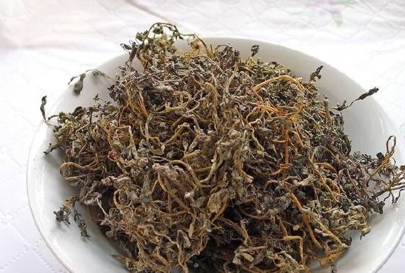 如何制作干菜 9bfad9a9a5ac4b109316cd89f190beef.jpeg