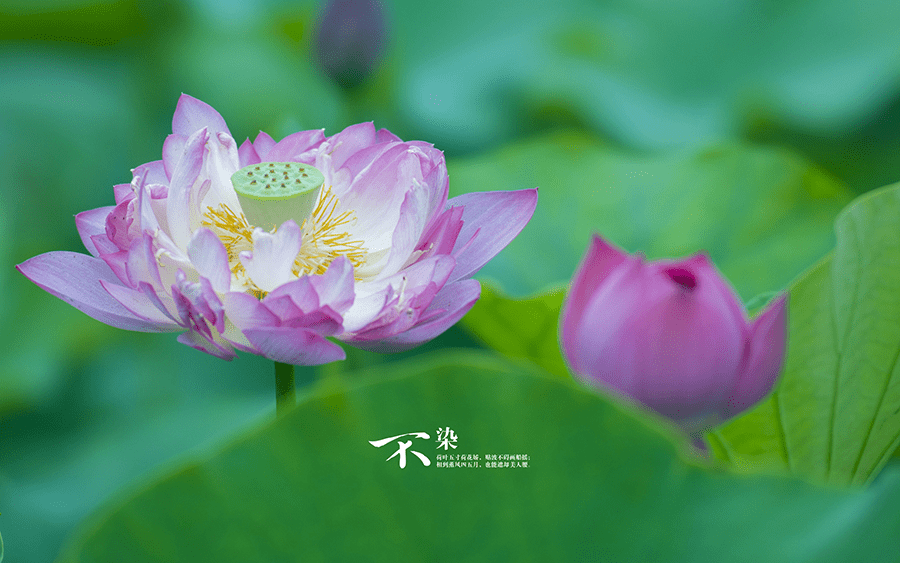 10月初錢多福氣旺，3生肖運勢不停歇，前程似錦，福氣不淺 星座 第2張