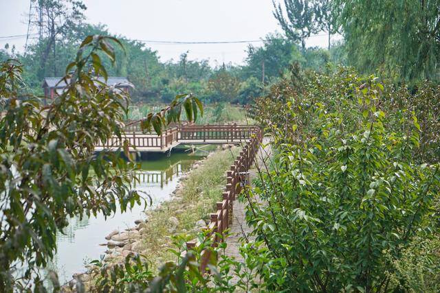 杨凌|1400年前的皇帝陵墓、住着守陵人的小村庄，陕西杨凌不简单